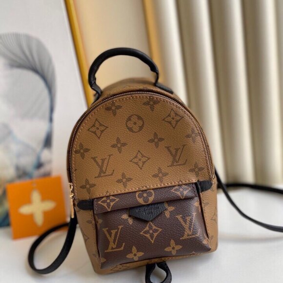 LOUIS VUITTON Palm Springs Double zip schoolbag